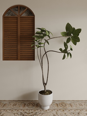 modern potted plant 3d model