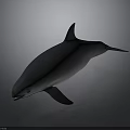 Realistic Gray Dolphin With Streamlined Body In 3D Rendered Underwater Scene