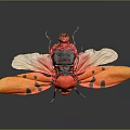 Vibrant Red Insect With Orange Wings And Black Spots On Dark Surface