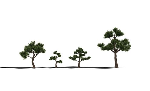 Modern Pine 3d model