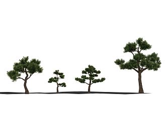 Modern Pine 3d model