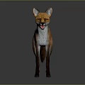 Standing Red Fox with Orange and White Fur 3D Rendered Isolated on Gray Background
