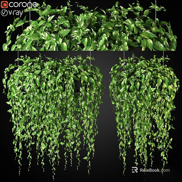 Lush Green Trailing Hanging Plant Decorative Arrangement With Dense Foliage For Indoor Decor 3d model 