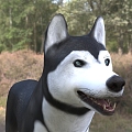 Modern Siberian Husky Husky Dog Dog Animal Creatures 3d model