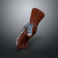 Brown Leather Decorative Glove With Silver Metal Plates Unique Design