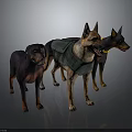 Three Dogs of Various Breeds With One Wearing Green Vest in 3D Render