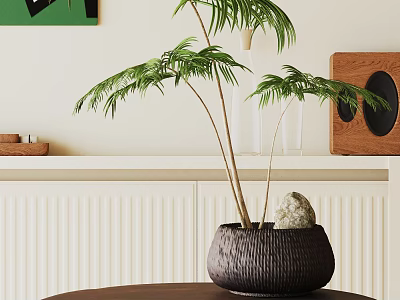 Bonsai Plant In Dark Woven Pot With Slender Stems Green Leaves Stone On Wooden Table 3d model