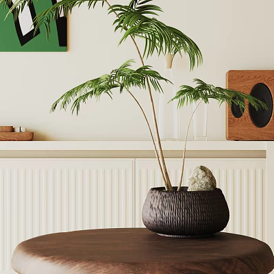 Bonsai Plant In Dark Woven Pot With Slender Stems Green Leaves Stone On Wooden Table 3d model