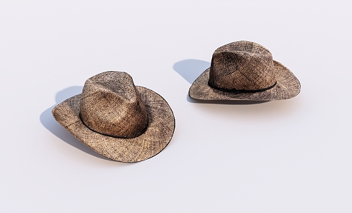 Modern Hat Old Hat 3d model