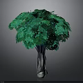 Lush Green Decorative Tree With Dark Textured Trunk And Foliage