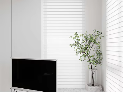 Minimalist Living Room with TV White Blinds Green Plant and Vase 3d model