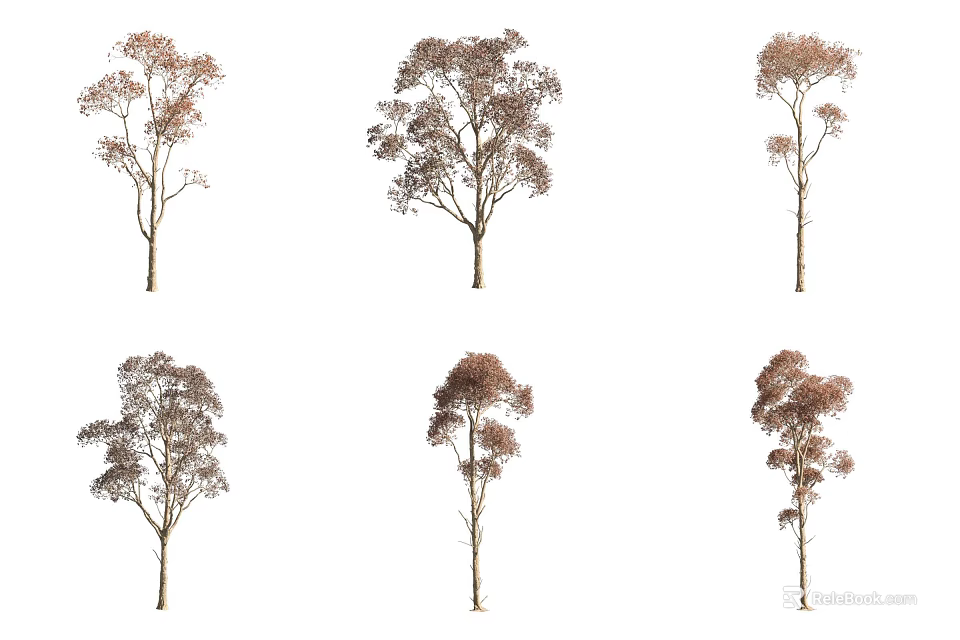 Various Arbor Trees With Light Brown Foliage And Isolated Trunks On White Background 3d model
