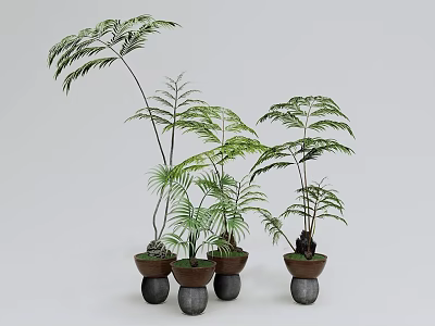 Bonsai Potted Plants Featuring Lush Green Foliage in Brown Ceramic Pots on White Background 3d model