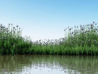 Lush Green Aquatic Plants With Purple Flowers Reflecting On Calm Water Under Blue Sky 3d model