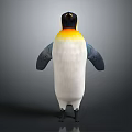 Standing Penguin With Black White Yellow Orange Neck From Back View On Gray Background