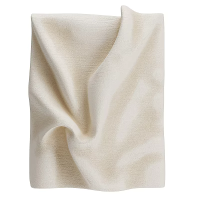 Soft Beige Fabric Wall Decor With Textured Woven Design And Curved Folds 3d model