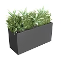 Lush Green Potted Plants In Black Rectangular Planter With Various Foliage For Decor