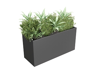 Plant combination plant box green plant flower box 3d model