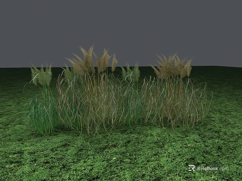 Green Grass Field With Clusters Of Grass Like Shrubs In Outdoor Landscape 3d model 