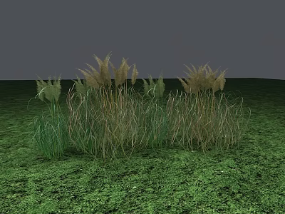 Green Grass Field With Clusters Of Grass Like Shrubs In Outdoor Landscape 3d model