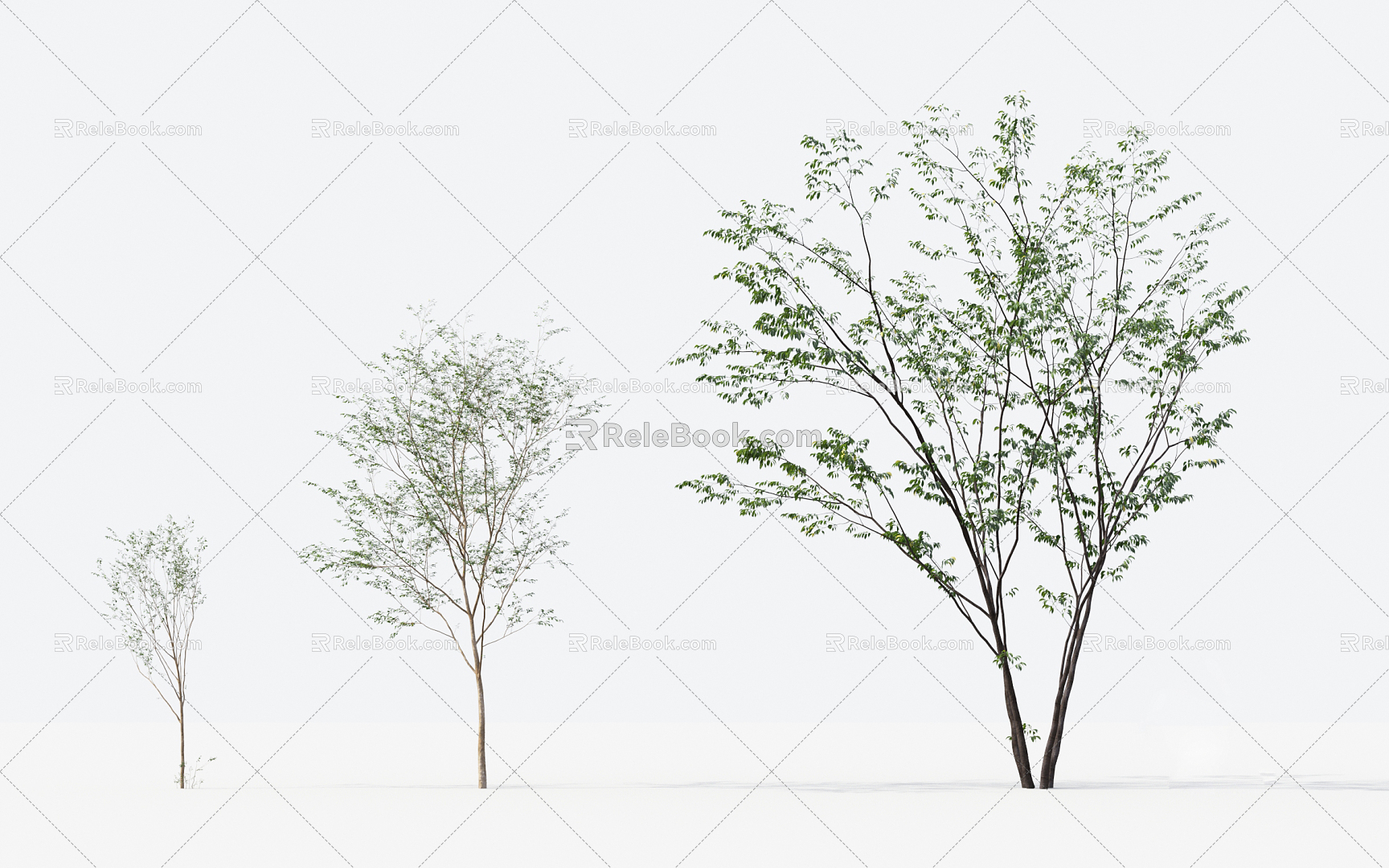 Modern Trees Small Trees 3d model