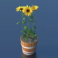 Potted Plant with Yellow Flowers and Green Leaves in Wooden Barrel Pot with White Stripes