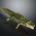 Green Crocodile With Scaly Skin Open Mouth And Detailed Texture On Gray Background