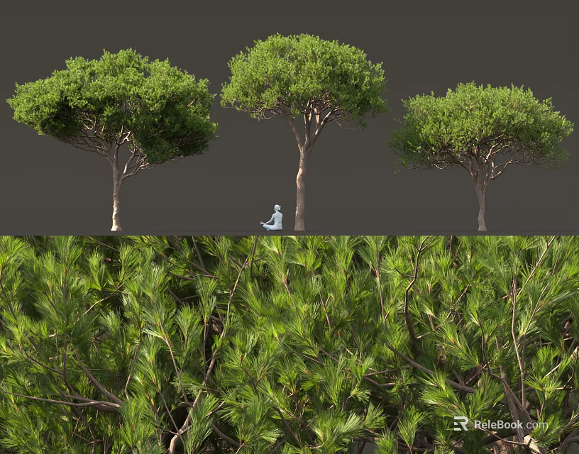 Lush Green Shrub Plants With Dense Branches And Natural Foliage Growth 3d model 