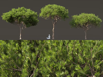 Lush Green Shrub Plants With Dense Branches And Natural Foliage Growth 3d model