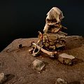 Scattered Ancient Skeleton Remains With Limb Bones And Skull On Earth Mound
