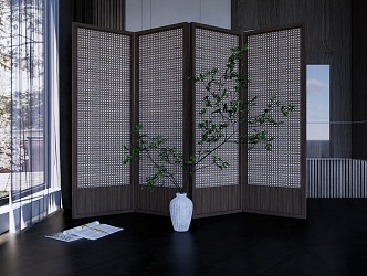 Modern screen partition 3d model