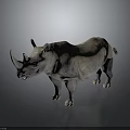 Rhino With Two Horns Standing On Gray Background Showing Detailed Body Structure
