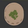 Scenic Landscape With Circular Wooden Structure Central Tree And Hollowed Design
