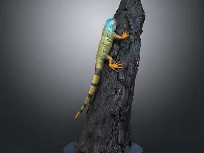 Colorful Iguana Climbing On Dark Tree Trunk With Blue Head And Orange Claws 3d model