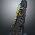 Colorful Iguana Climbing On Dark Tree Trunk With Blue Head And Orange Claws