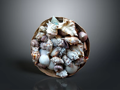 Decorative Basket Filled With Various Seashells Of Different Shapes And Sizes 3d model