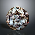 Decorative Basket Filled With Various Seashells Of Different Shapes And Sizes