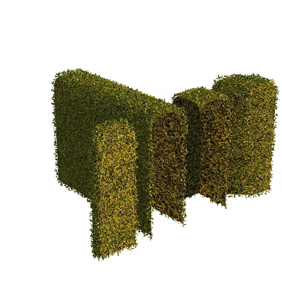 Beautiful Well Trimmed Green Shrubs Forming Shaped Hedges In Garden Landscape Design 3d model