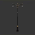 Black Street Lamp With Two Lamp Heads And Golden Accents Design