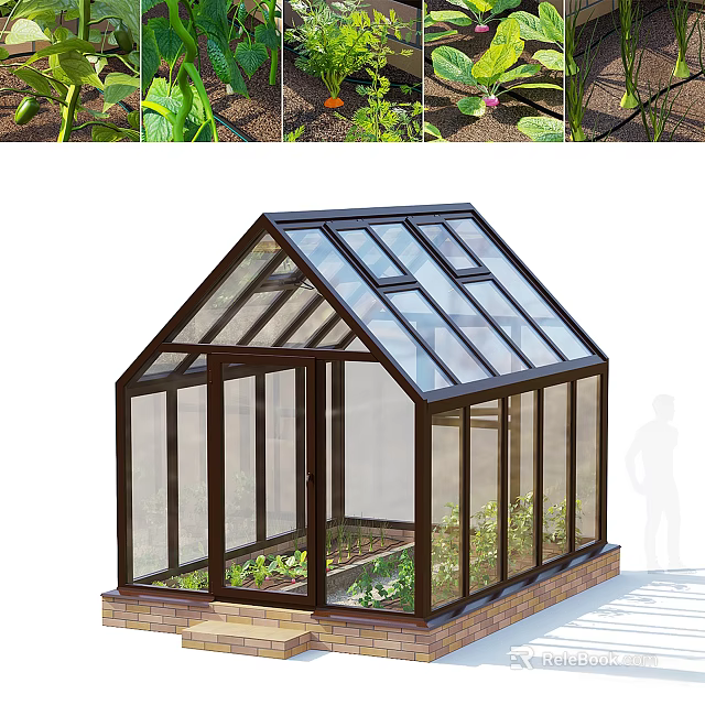 Sturdy Glass Greenhouse With Brown Frame And Growing Plants For Gardening 3d model 