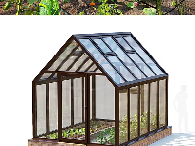 Sturdy Glass Greenhouse With Brown Frame And Growing Plants For Gardening 3d model