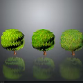 Three Green Spherical Plants With Scaly Leaves Brown Trunks And Reflections On Gray Gradient Background