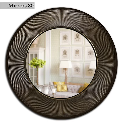 Round Black Radial Frame Mirror Reflecting Interior With Green Plant Sofa And Decorative Paintings 3d model