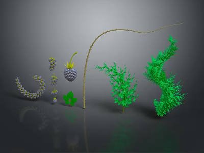Green Spiral Plants With Yellow Stems And Spherical Structures On Dark Reflective Background 3d model