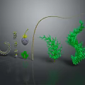 Green Spiral Plants With Yellow Stems And Spherical Structures On Dark Reflective Background