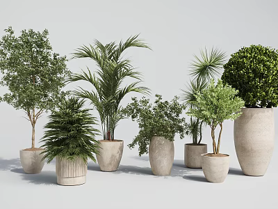 Various Bonsai Potted Plants With Green Foliage in Decorative Ceramic Pots 3d model