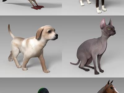 Various Reptile Species Displaying Distinctive Scales Claws And Color Patterns 3d model