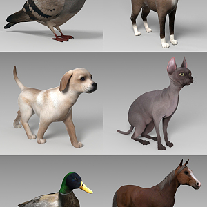 modern animal 3d model