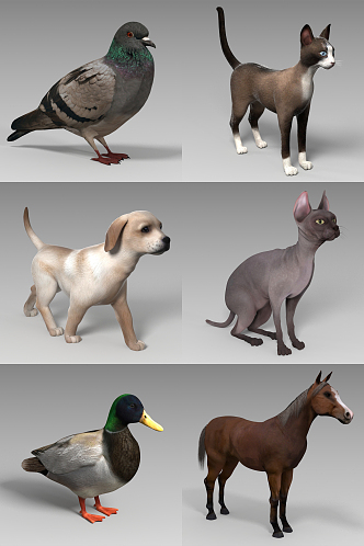 modern animal 3d model