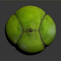 Fresh Green Striped Tropical Fruit With Smooth Skin And Stem